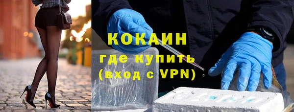 индика Алексеевка
