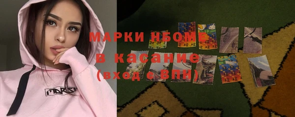 амф Снежногорск