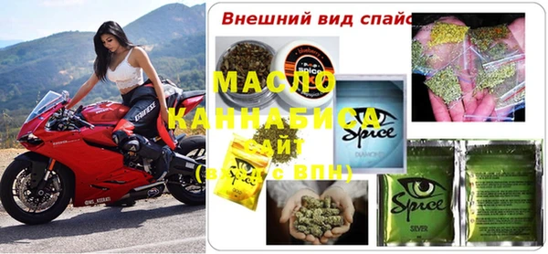 амф Снежногорск