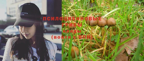 индика Алексеевка
