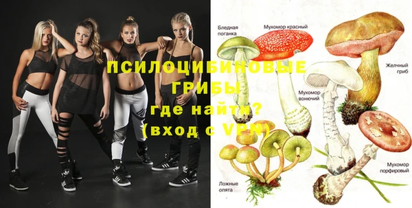 индика Алексеевка