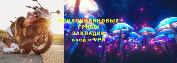 твердый Алзамай