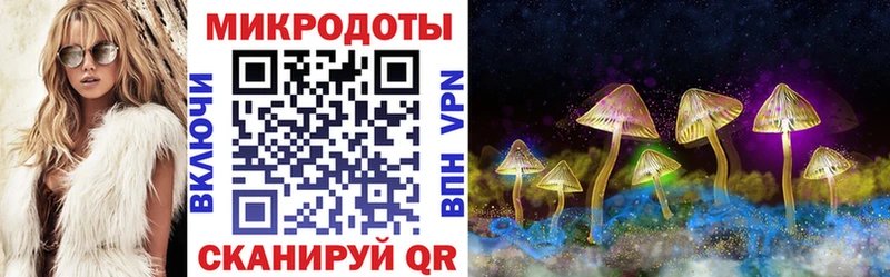 Галлюциногенные грибы Magic Shrooms  OMG онион  Волхов  купить наркоту 