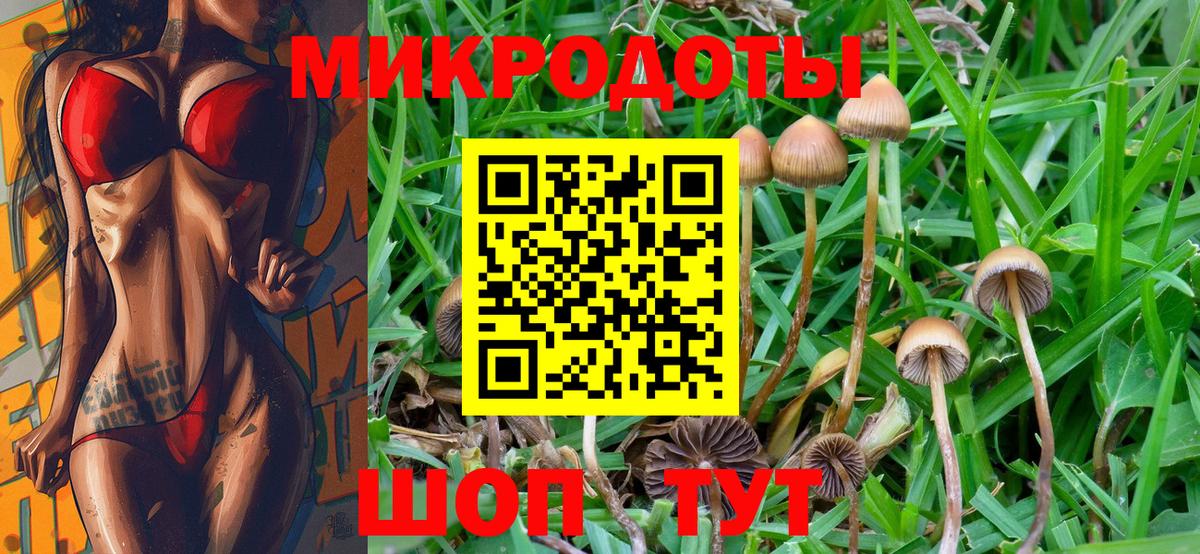 Псилоцибиновые грибы мицелий  Вход с VPN  Волхов 